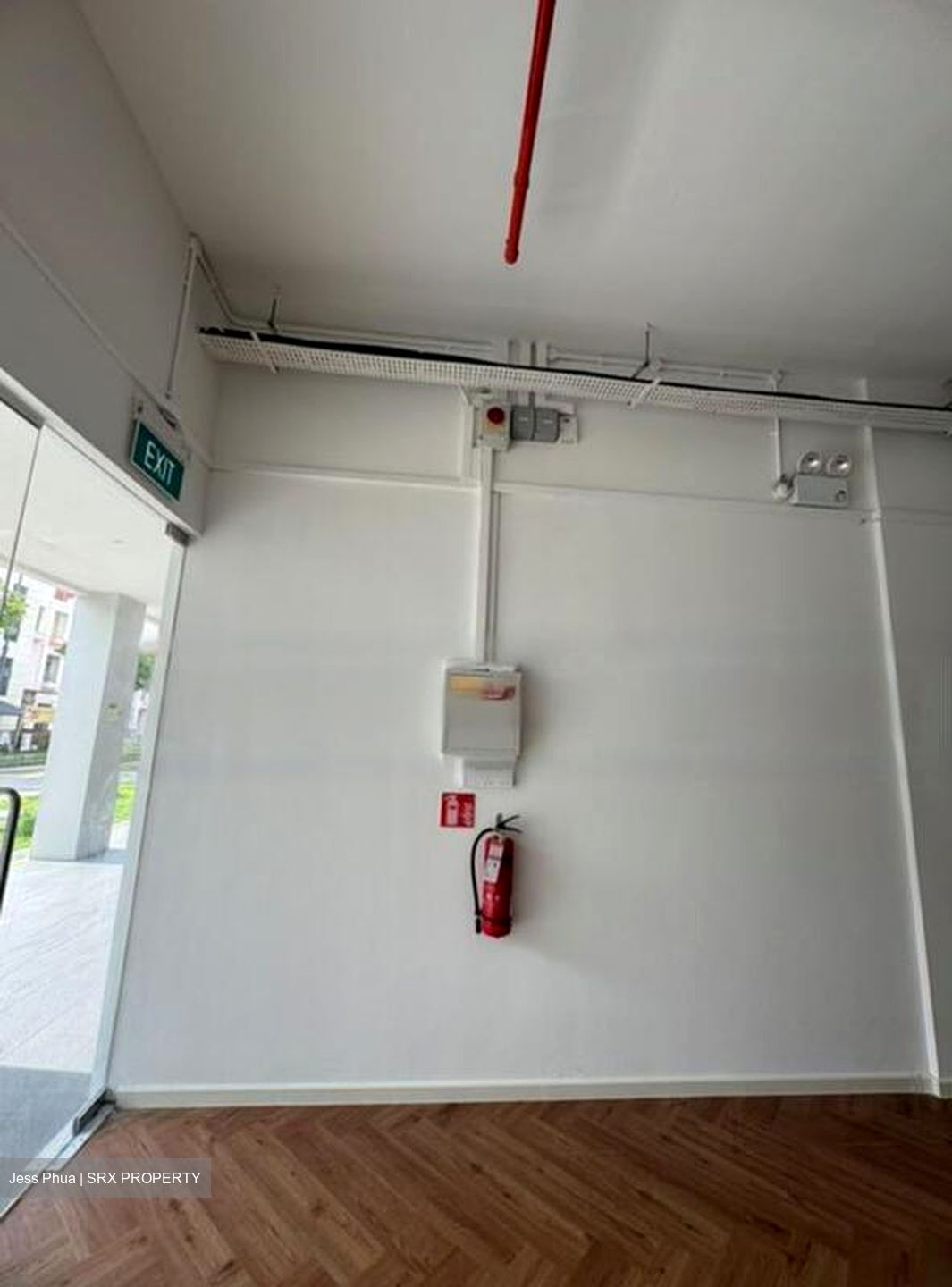 Sycamore Tree (D15), Retail #486529941